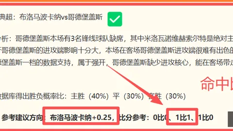 瓦勒伦加主场，快速开奖，强势，连续四胜终极攻略